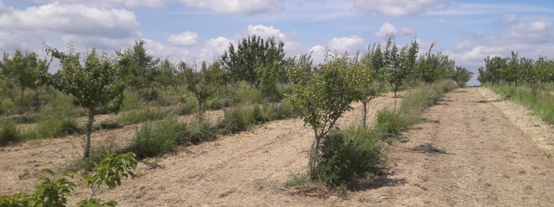 verger conservatoire